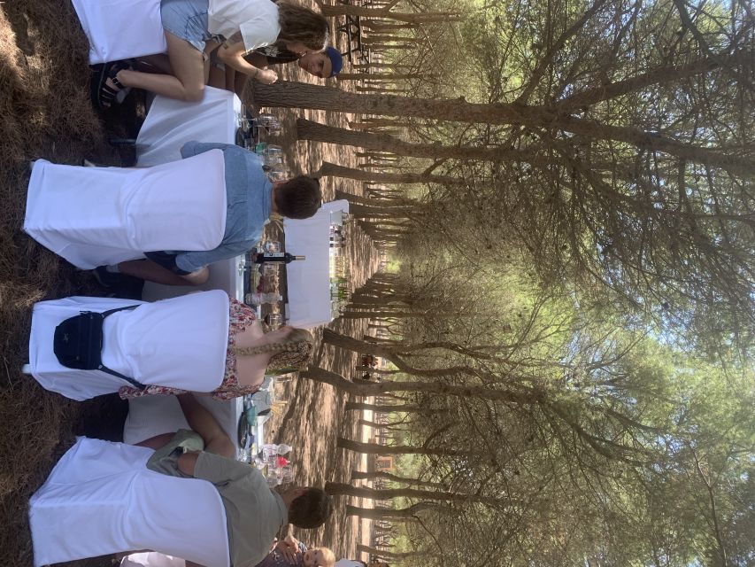 Torrevieja: Local Wine and Food Tasting Tour in La Mata Park - Following the vineyard route through the park