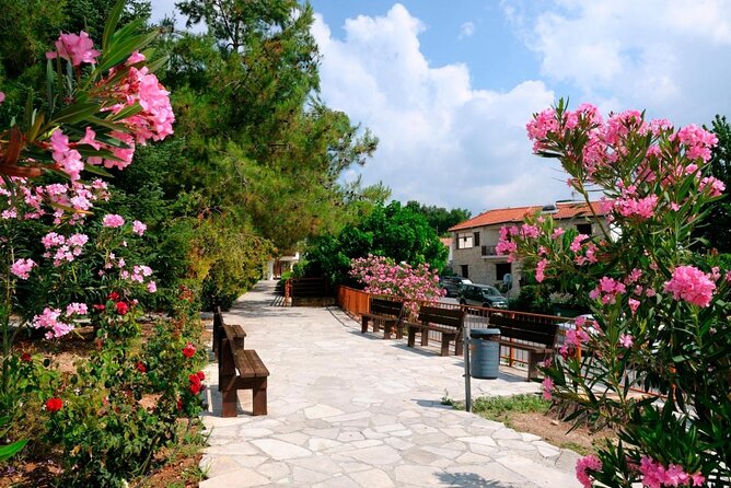 Troodos Mountains Grape Escape: All Inclusive Food & Wine Tour - From Ayia Napa beaches to Cyprus mountain villages