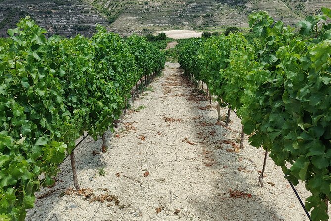 Troodos Mountains Grape Escape: All Inclusive Food & Wine Tour - Why the small group matters
