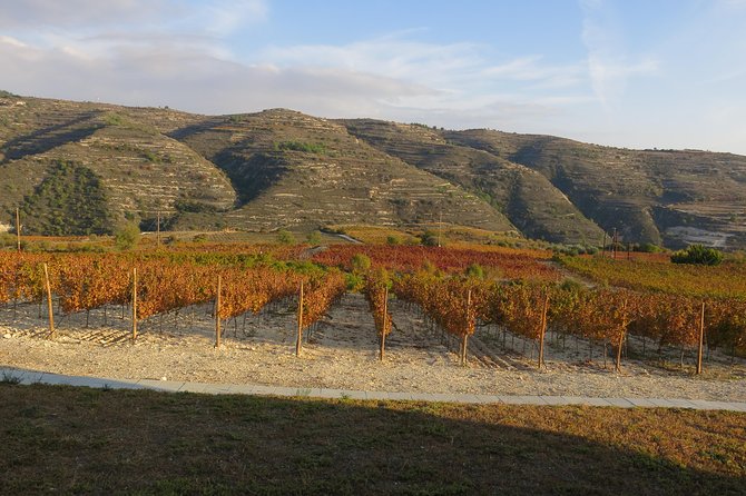 Troodos Mountains Grape Escape: All Inclusive Food & Wine Tour - FAQ