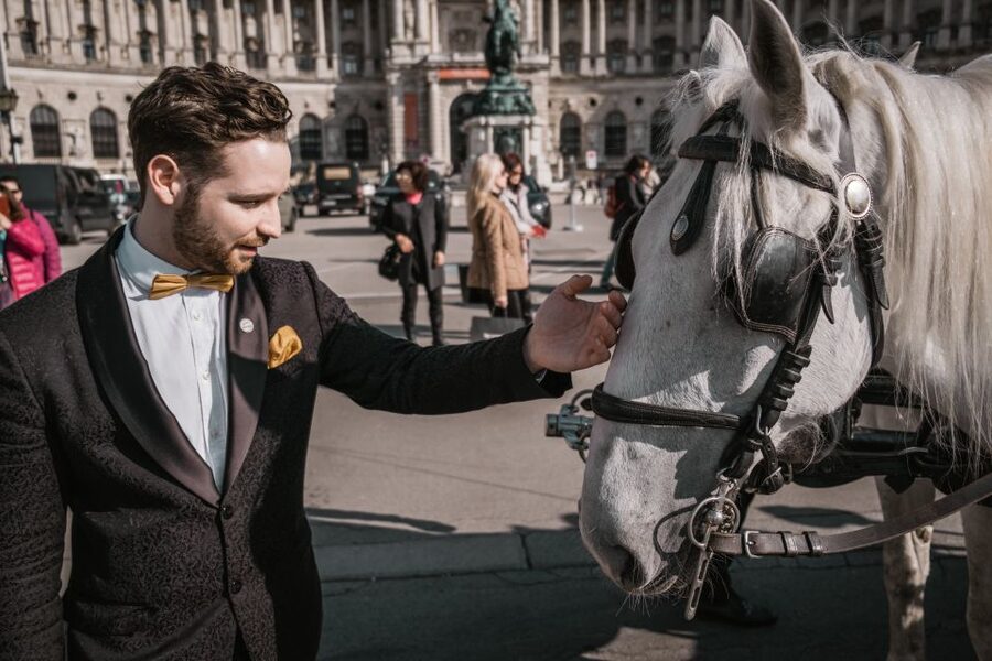 Vienna: Culinary Horse-Drawn Carriage Experience - Key points to know before booking