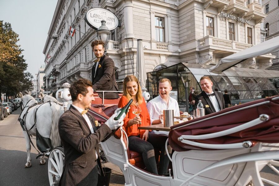 Vienna: Culinary Horse-Drawn Carriage Experience - Is $229 good value?