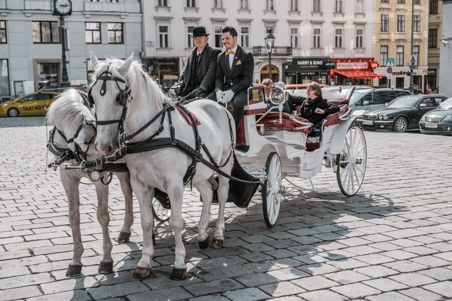 Vienna: Culinary Horse-Drawn Carriage Experience - The route’s best sights