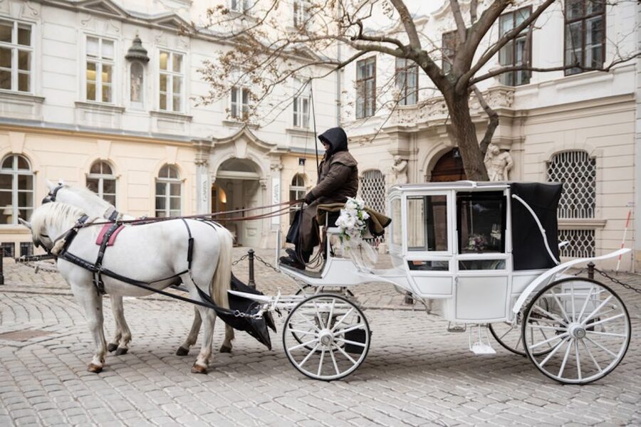 Vienna: Culinary Horse-Drawn Carriage Experience - Guides, stories, and the human touch