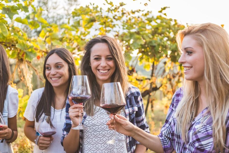 Vineyard Sips: Family Winery Tour & Gourmet Tasting in Corfu - Fresh snacks in the vineyard lounge