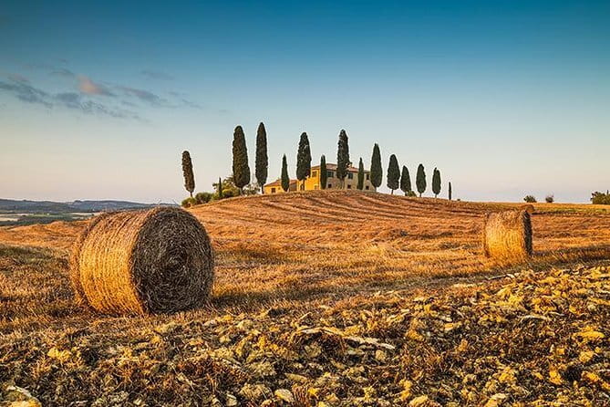 Walking Food Tour of Florence with Tastings and Wine - Markets, meats, and Florentine specialties