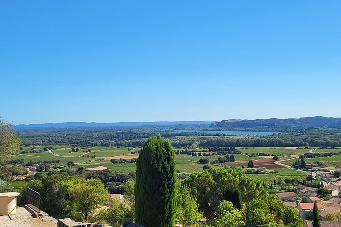 Wine Tasting Tour at Châteauneuf du Pape - What the guides add to the afternoon