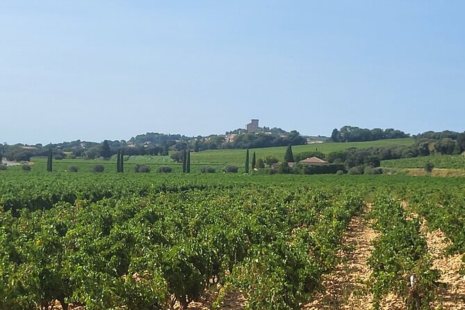Wine Tasting Tour at Châteauneuf du Pape - The food question: bring a snack