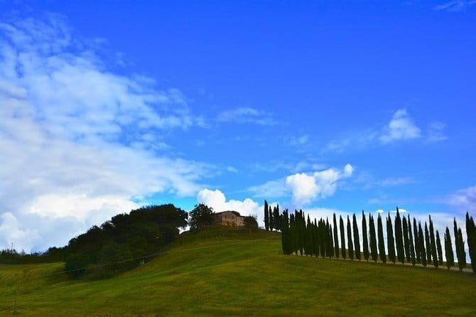 Winner 2025 Florence Sunset Food & Wine Tour by Eating Europe - Artisan gelato at La Sorbettiera